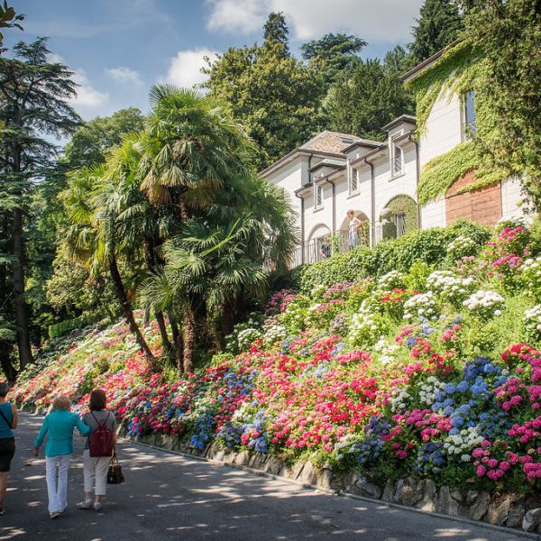 Como Villa del Grumello aperta al pubblico di domenica fioritura delle ortensie