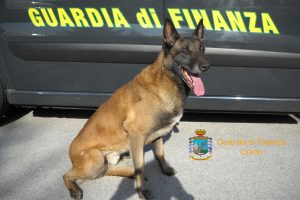 guardia-di-finanza
