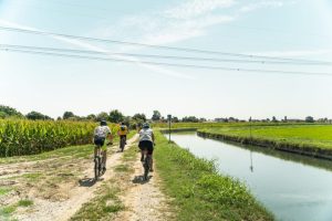 img-4-Lombardia_Pavia_Mortara-Pavia-Credit-Foto-AEVF-Associazione-Europea-Vie-Francigene-1024x683