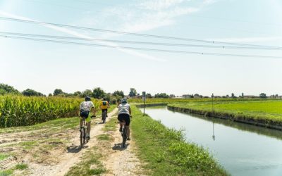img-4-Lombardia_Pavia_Mortara-Pavia-Credit-Foto-AEVF-Associazione-Europea-Vie-Francigene-1024x683