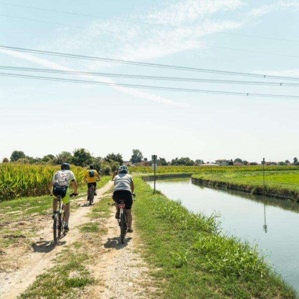 img-4-Lombardia_Pavia_Mortara-Pavia-Credit-Foto-AEVF-Associazione-Europea-Vie-Francigene-1024x683