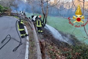 incendio-bambù-erba