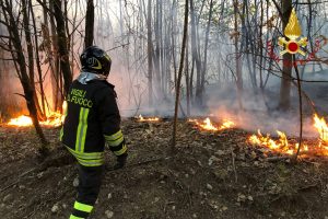 incendio-boschi-lurate-caccivio-vigili-fuoco (5)