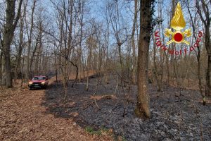 incendio-bosco-cabiate-vigili-fuoco-1