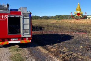 incendio-campo-grano-lomazzo