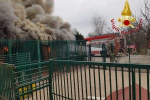 incendio canile 2
