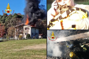 incendio-cantù-gatto (6)
