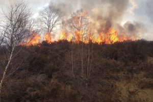 incendio-garzeno-carabinieri-forestale (1)