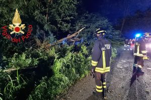incidente gironico