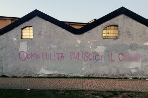 ippocastano-imbrattamento-1