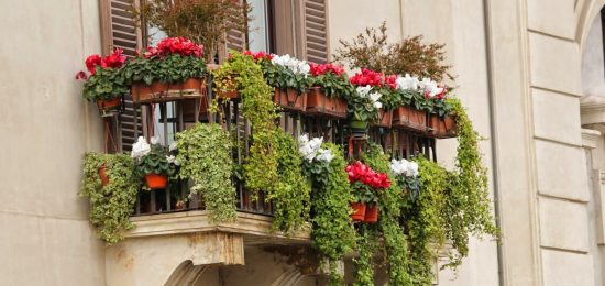 jeglaat-balcony-979257