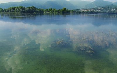 lago-pusiano