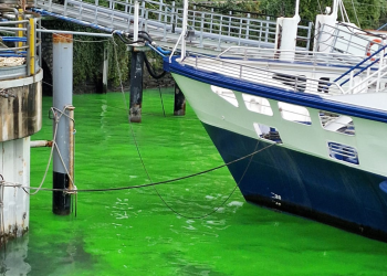 lago-tavernola-acqua-verde-2