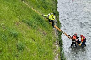 lambro vigili del fuoco erba 2