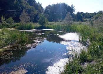 lanza_stagno-di-rodero-casale-parco-pineta-appiano