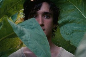 lazzaro-felice-film (4)