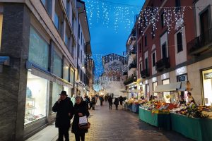 luminarie-albero-natale (8)