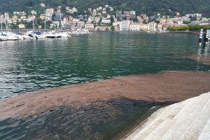 lungolago1
