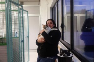 manuela-d'elena-gattile-gatti-lipomo-1