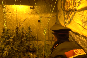 marijuana-carabinieri-spaccio
