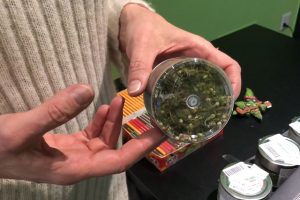 marijuanalegale-como-hemphouse (1)