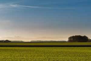 meadows-882146_1280