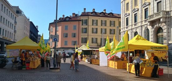 mercato agricolo piazza perretta (2)