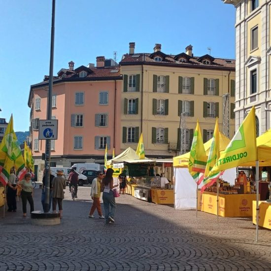 mercato agricolo piazza perretta (2)