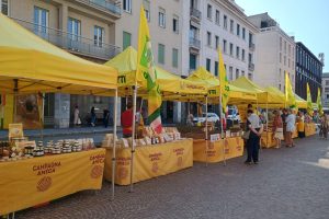 mercato agricolo piazza perretta (7)