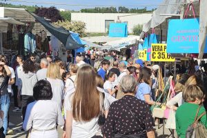 mercato-forte-dei-marmi (1)