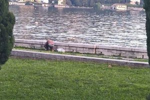 migrante lago 2