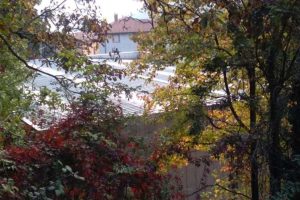 mognano-primaria-2