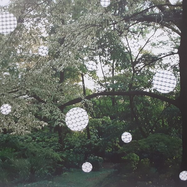 mostra nel bosco 1 (2)