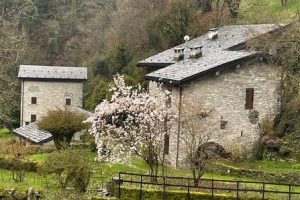 mulino cerano 4