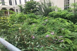 mura-romane-liceo-volta (1)