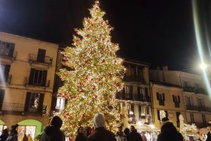 natale-luci-luminarie-proiezioni-albero (14)