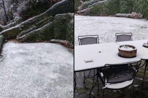 neve-brunate