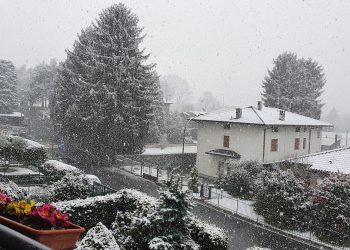 neve como 4