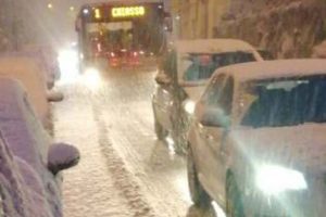 neve