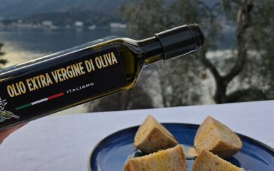 olio 2