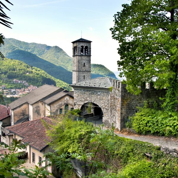 palanzo faggeto