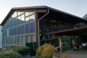 palestra nesso centro vaccini (4)