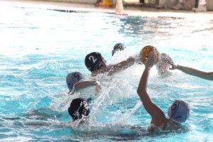 pallanuoto-como