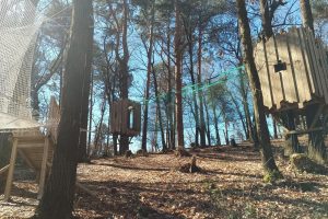 parco avventura drezzo spina verde