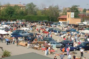 parcoesposizioninovegro.it