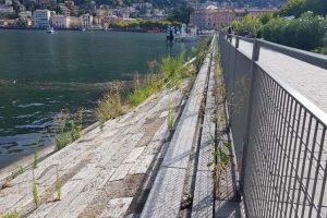 passeggiata-amici-como-lago (1)