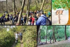 passeggiata-voltiana-camnago-sentiero-sogni (5)
