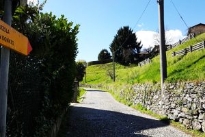 passeggiate-creative