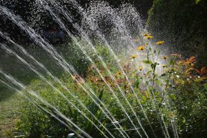 peggychoucair-garden-3664278