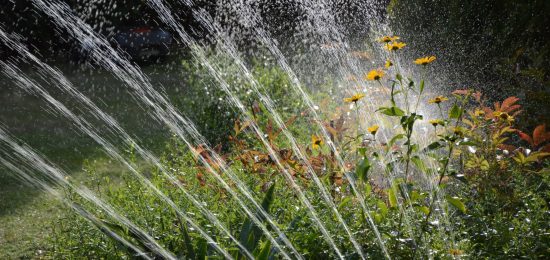 peggychoucair-garden-3664278